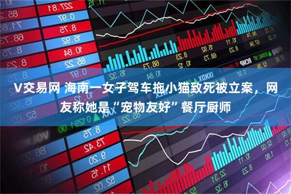 V交易网 海南一女子驾车拖小猫致死被立案，网友称她是“宠物友好”餐厅厨师
