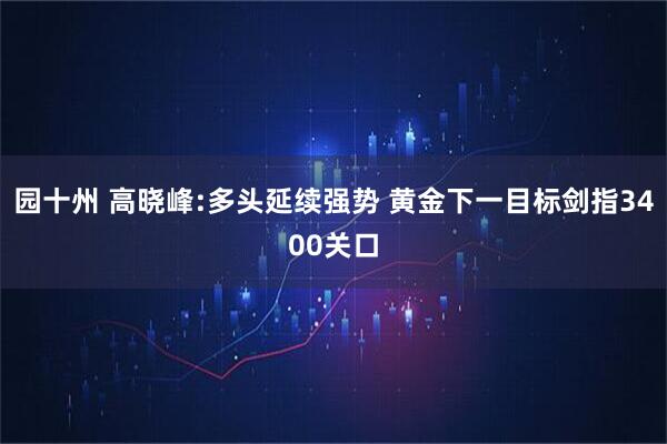 园十州 高晓峰:多头延续强势 黄金下一目标剑指3400关口