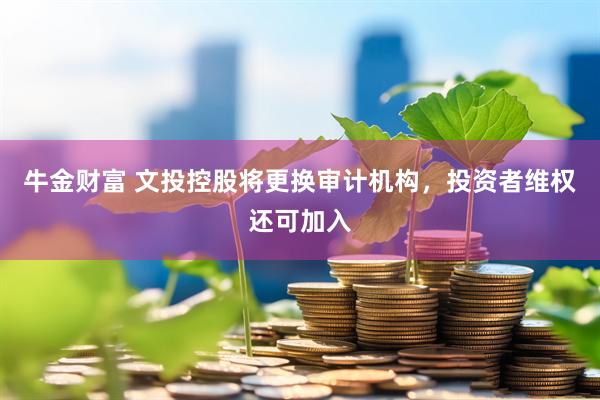 牛金财富 文投控股将更换审计机构，投资者维权还可加入