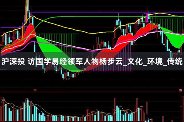 沪深投 访国学易经领军人物杨步云_文化_环境_传统