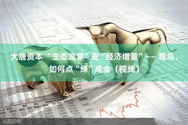 大唐资本 “生态流量”变“经济增量”—— 观鸟，如何点“绿”成金（视线）